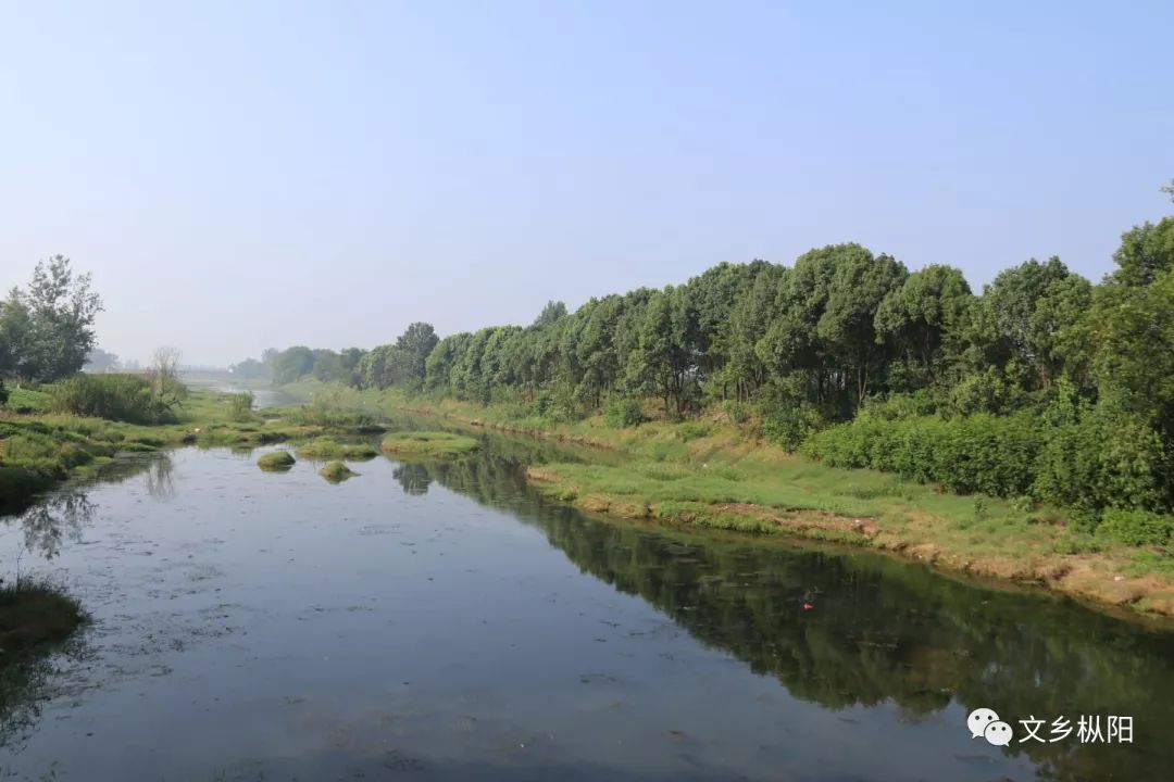 大美文乡图说故乡的杨市河白荡湖