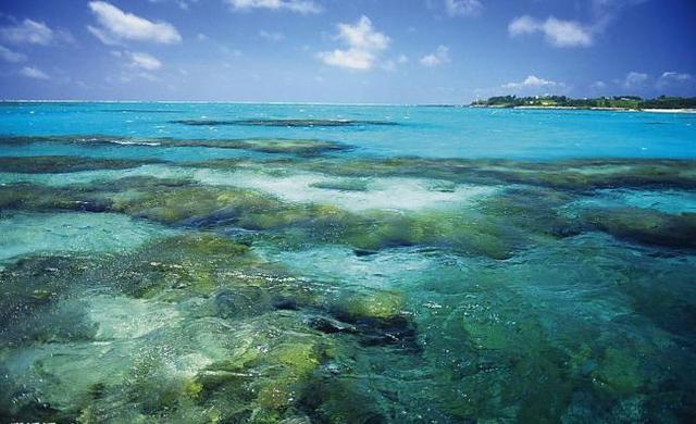 科学家模拟抽干百慕大群岛海水百年谜团得科学合理解释