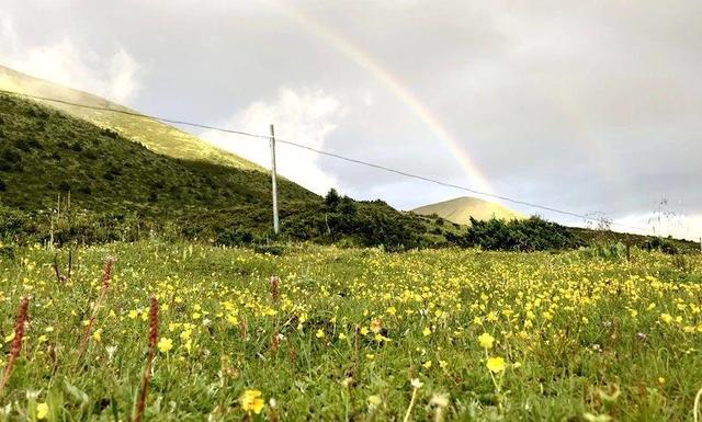 避暑游花海!木雅圣地7月媒体采风集锦,附赠康定3日游自驾攻略!