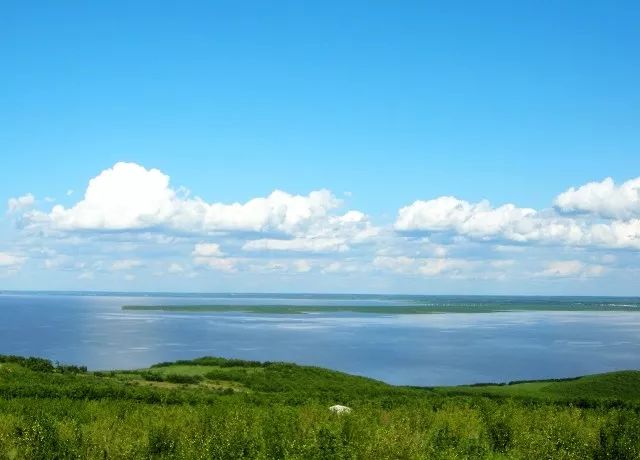 視點關注 | 黑龍江干流洪峰即將進入同江市