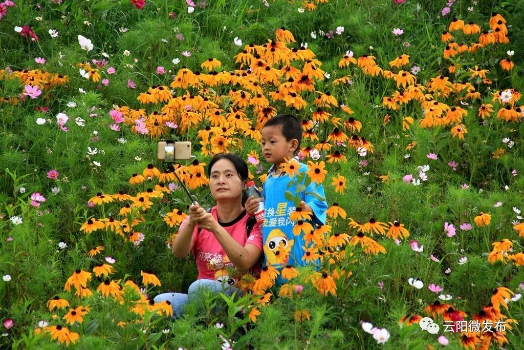 這裡有你想要的詩和遠方快來這片網紅花海打卡