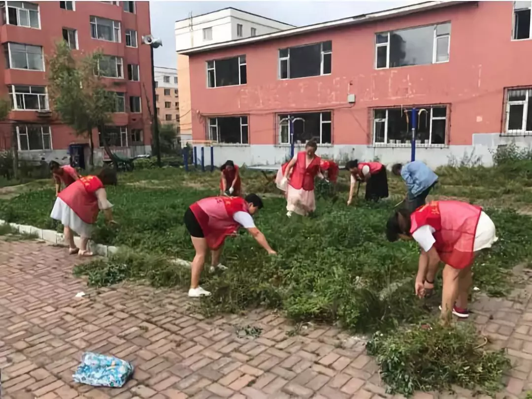 【关注】美化小区环境 营造温馨社区