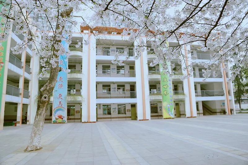 鼓楼第一中心小学赤壁路小学汉口路小学鼓楼一直都是南京第一教育强区
