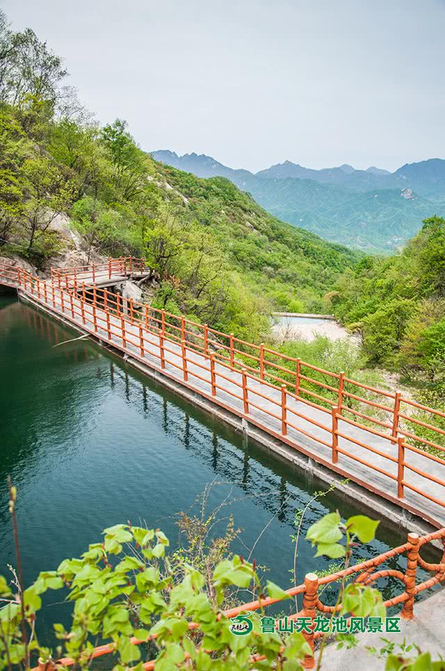 河南鲁山一景区面向这四个地市开放,凭身份证就能享受半价优惠