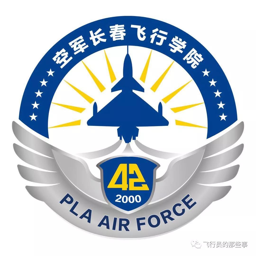 中国飞行员飞行标志图片