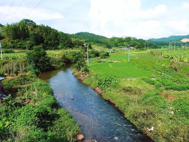 昭信村地势平坦,以农林为主的村落,远离现代化的工业气息,生态环境