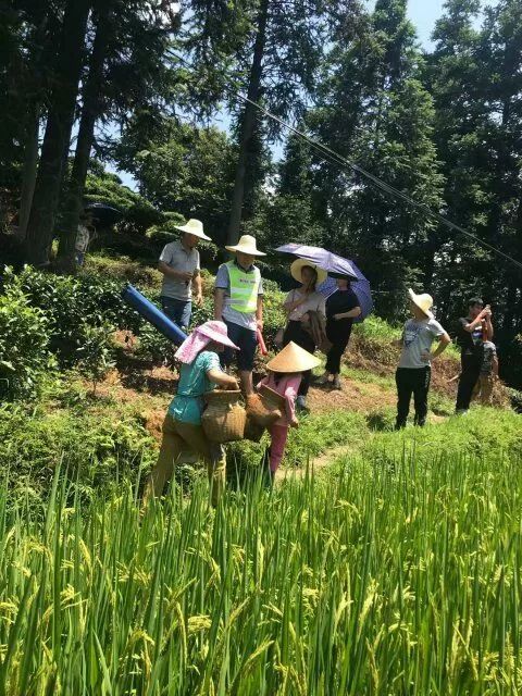 广西大学行健文理学院商学部在同乐乡开展暑期社会实践活动