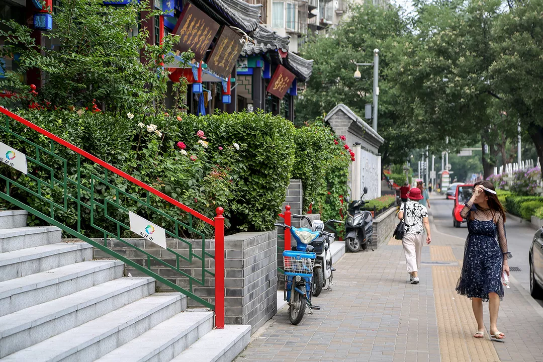 立体绿化遍街巷 东花市大街变"花廊"