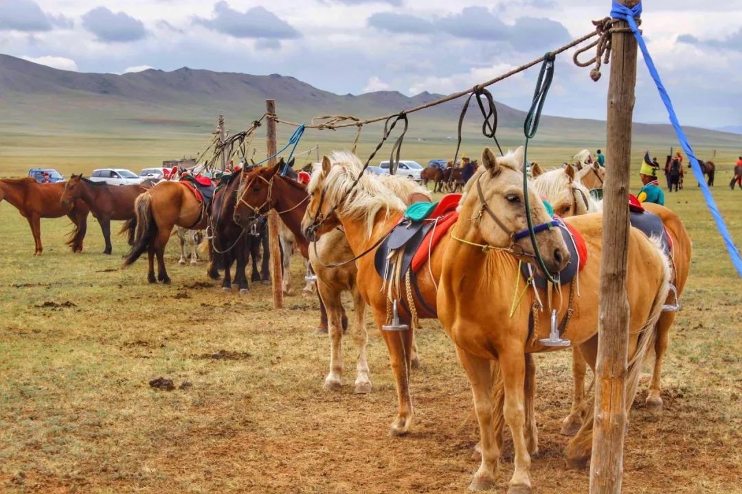 mongolnomadic体验蒙古族原始游牧生活