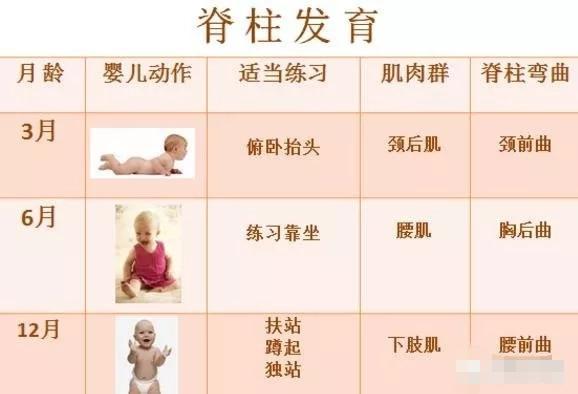 容易导致脊柱发育不良,宝宝驼背,高低肩等问题,会影响宝宝日后的个人