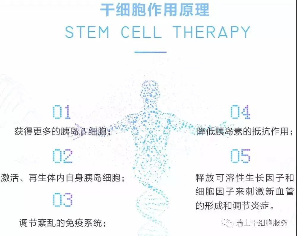 圖解幹細胞療法治療糖尿病的作用原理!