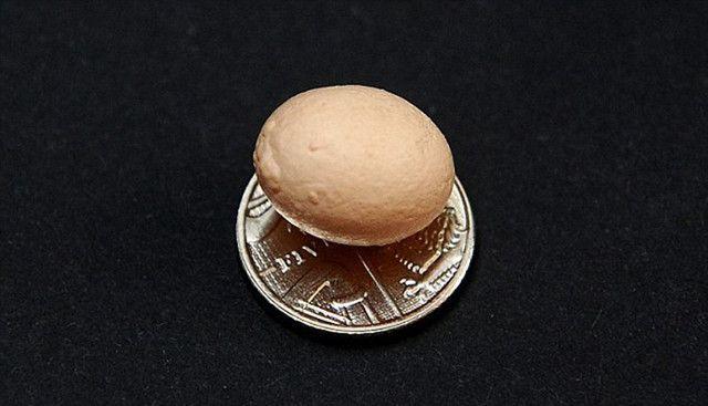 英女孩发现全世界最小的鸡蛋,造型奇特 仅长155厘米