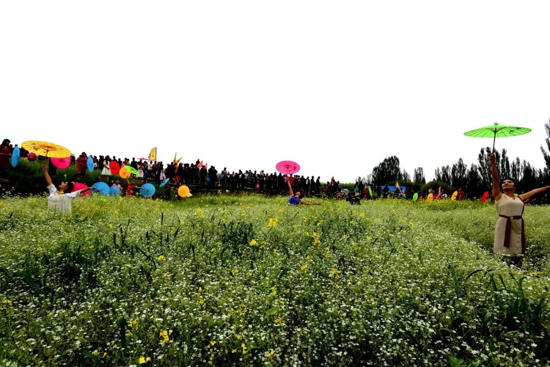 且末举办首届昆仑古村山花开乡村旅游暨中昆仑风光摄影大赛