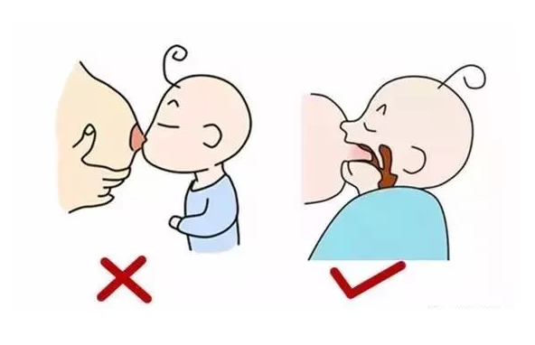 婴儿吃奶舌头图片