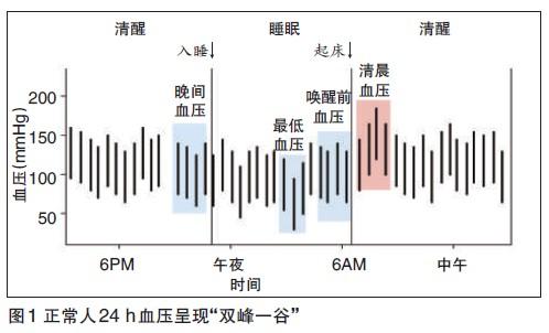 人体血压24小时走势图图片