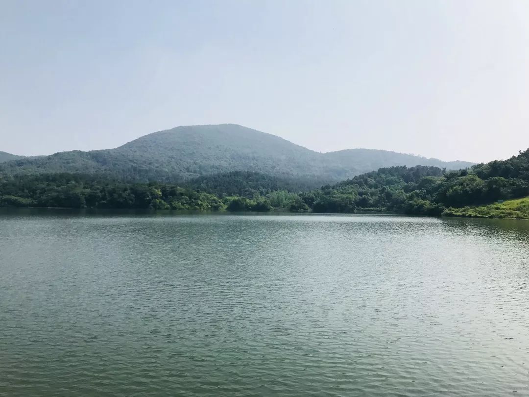 還可以觀賞到黃麓師範,張治中故居,相隱寺,李克農故居等巢湖半島著名