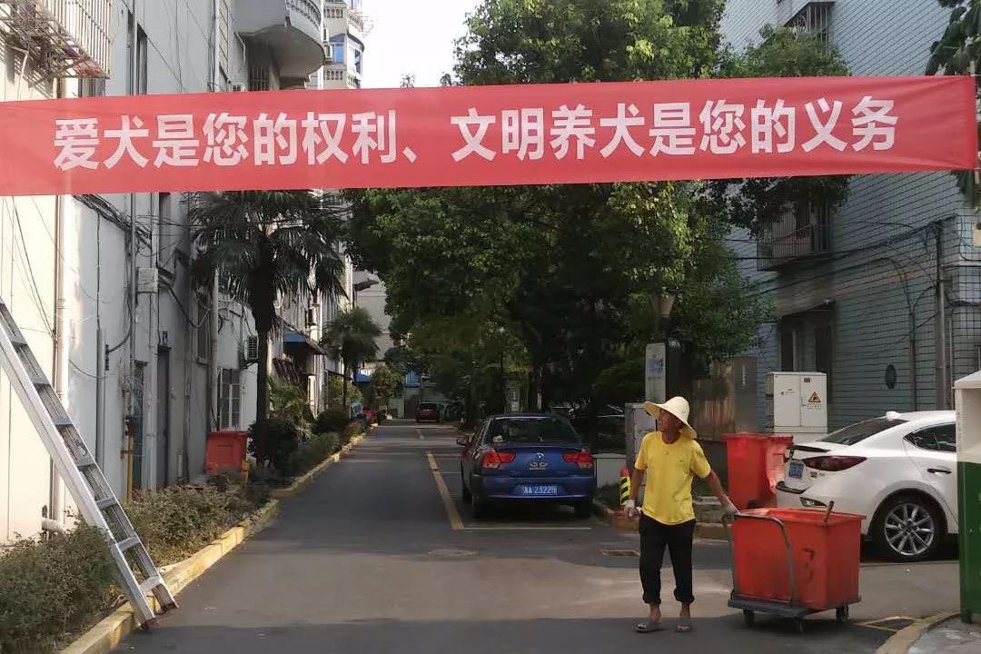 执法队员在小区内悬挂了文明养犬横幅,并走访各社区,督促社区做好小区