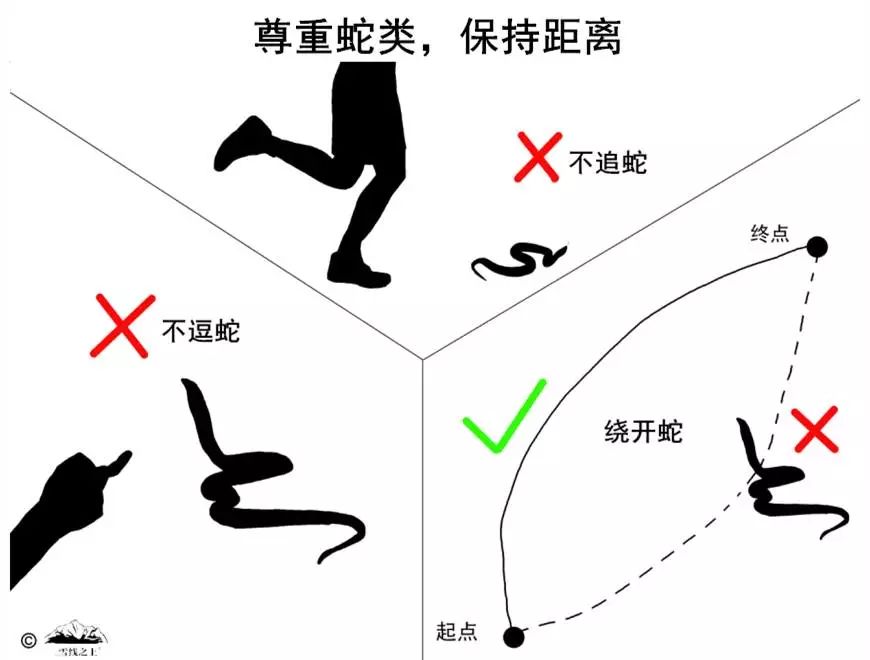 警惕襄阳已有5人被咬伤最近这种地方频频蛇出没千万要当心