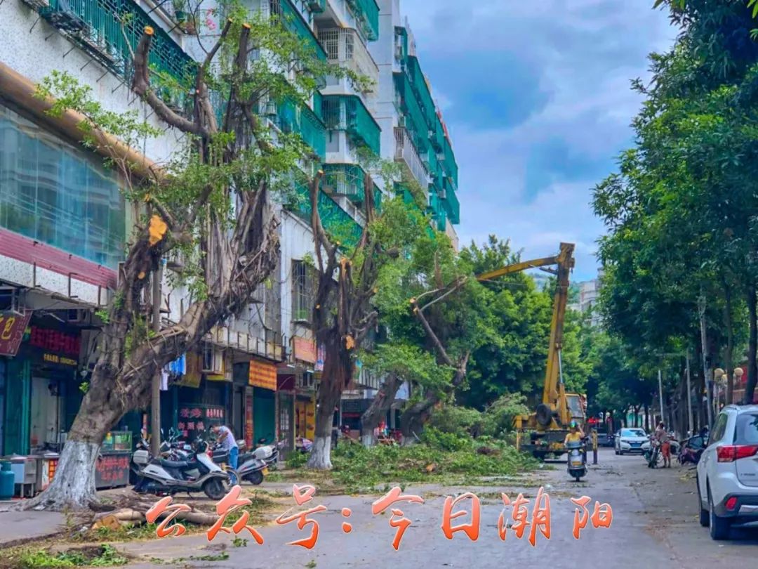 潮陽棉城這條路實行全路面封閉施工,禁止一切車輛通行.