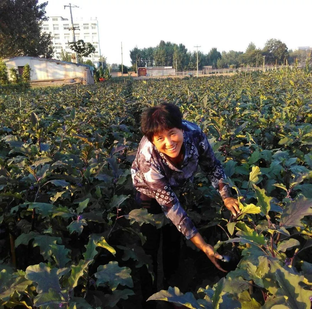 莘县破鞋女人图片