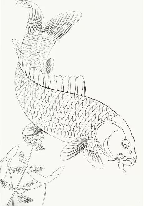 閒畫古典鯉魚 —— 水仙欲上鯉魚去,一夜芙蓉紅淚多