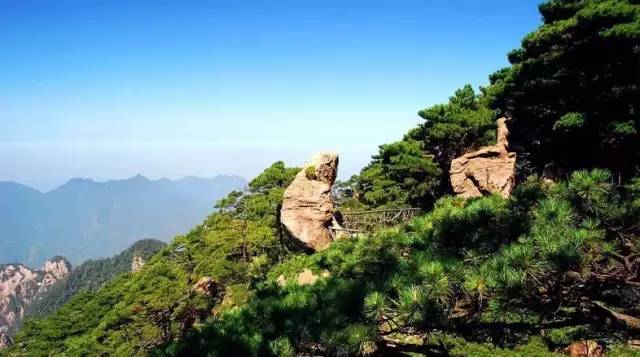 皇牌純玩江西!跟著詩詞遊廬山,邂逅婺源鮮花小鎮,景德鎮親子diy陶瓷!