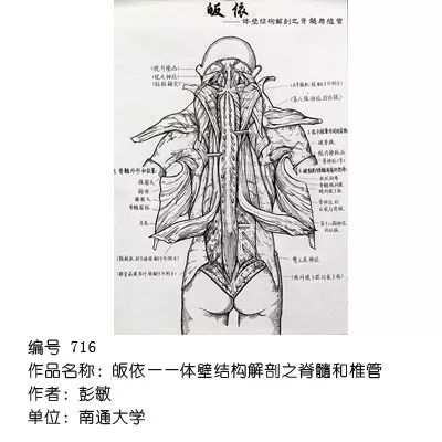 中國解剖學會於澤杯首屆全國醫學生解剖繪圖大賽結果揭曉