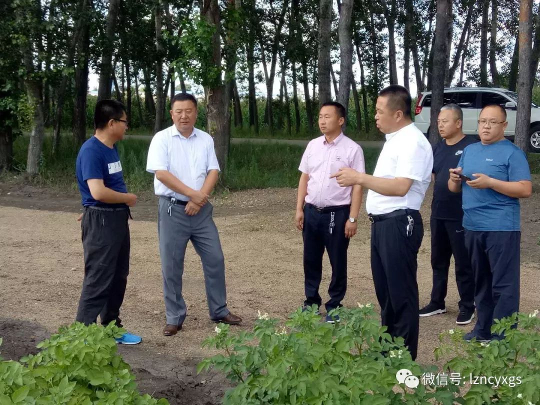 【生产一线】锦河农场副场长到龙镇农场有限公司参观