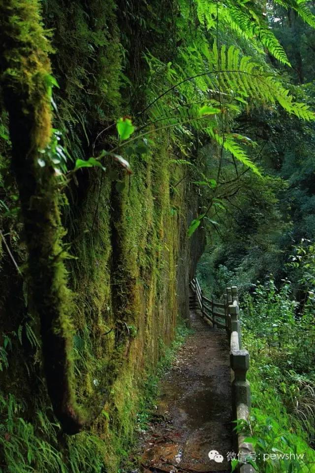 镇沅千家寨风景区图片