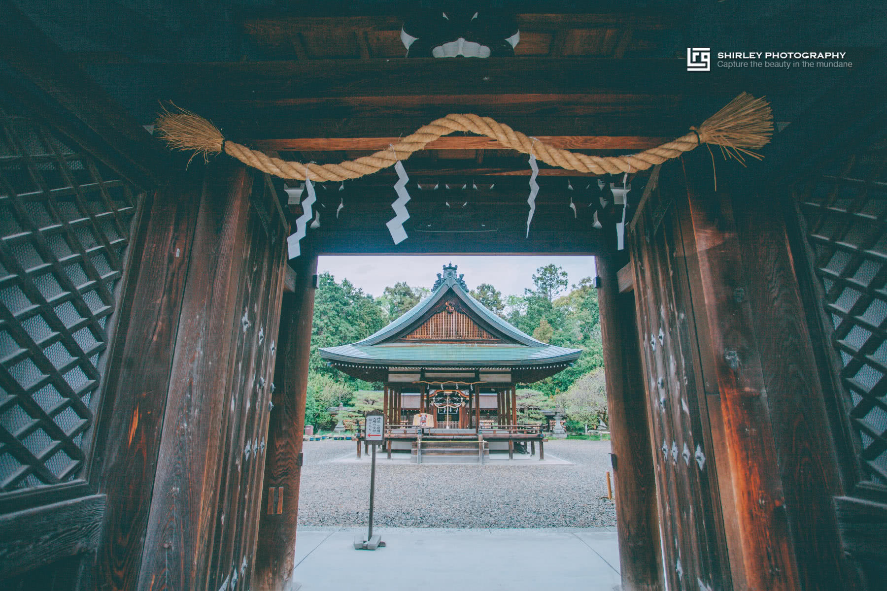 深度游 继猫站长猫掌柜之后 京都这个神社也被猫咪 霸占 了