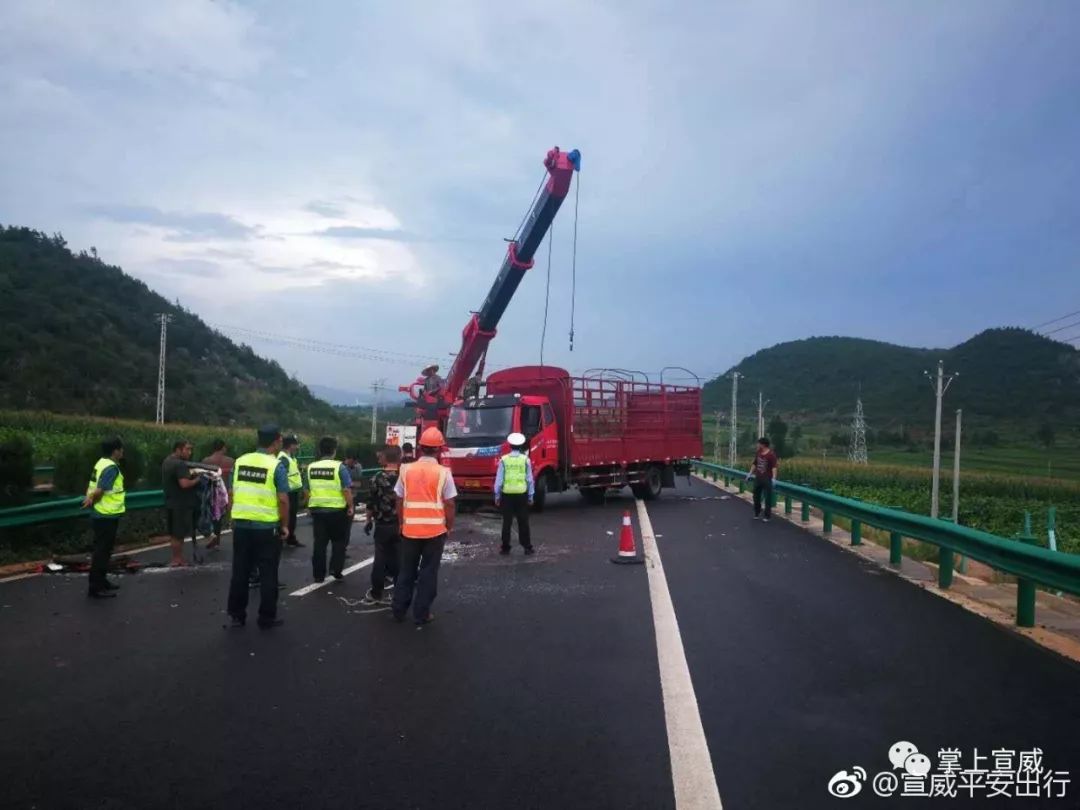 杭瑞高速发生四车碰撞的交通事故;7名儿童上山捡菌树下避雨被雷击 4死