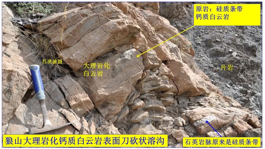 吕洪波教授:白云岩表面刀砍状溶沟的形成机理