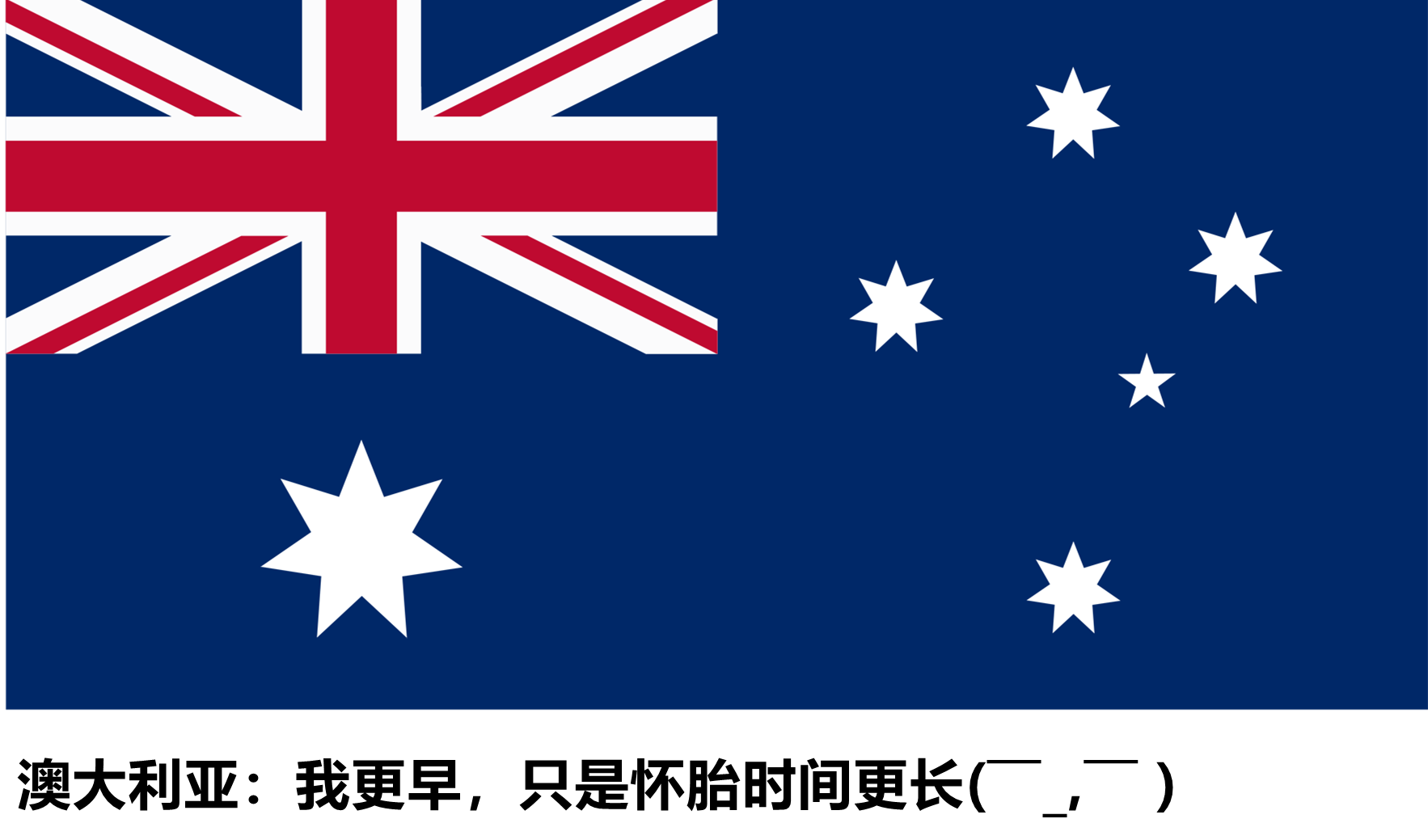 新西兰状告澳大利亚国旗抄袭下面这些国家表示不服
