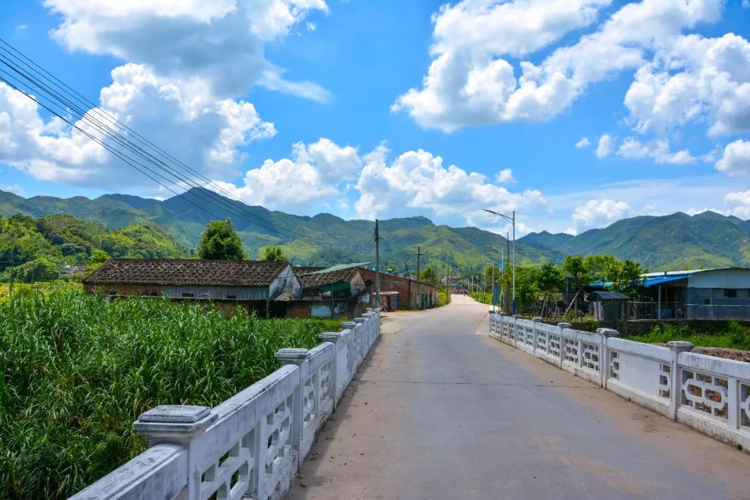 本镇骄傲—龙江村的美景,吸引一群大学生千里迢迢来探寻.