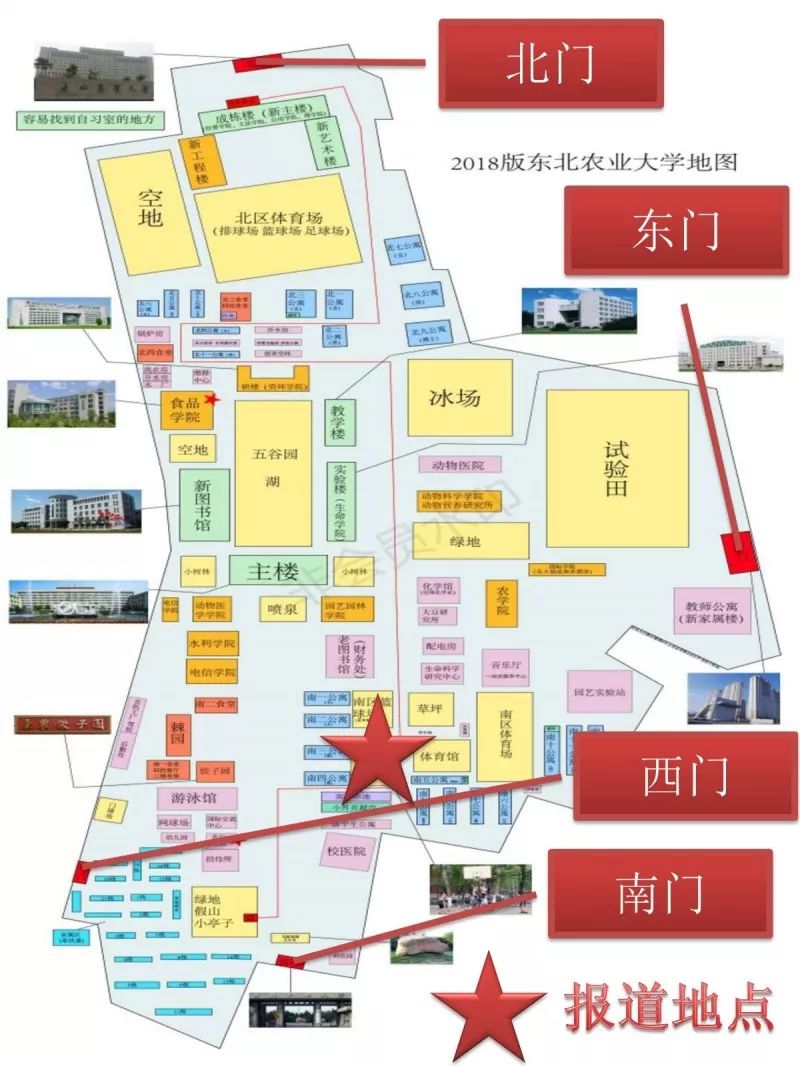 沈阳农业大学地理位置图片