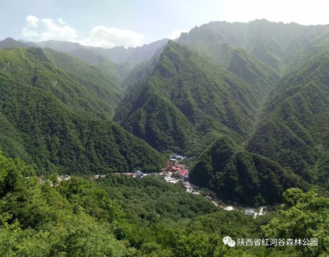 消夏避暑哪里去?陕西眉县红河谷!