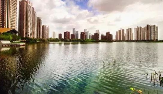 7000亩双流杨柳湖图片