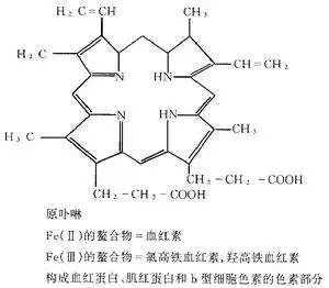 铁卟啉结构图片