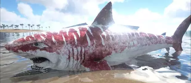 最大的记录是21米,重达100吨,有史以来最大的鲨鱼,也是有史以来最凶猛