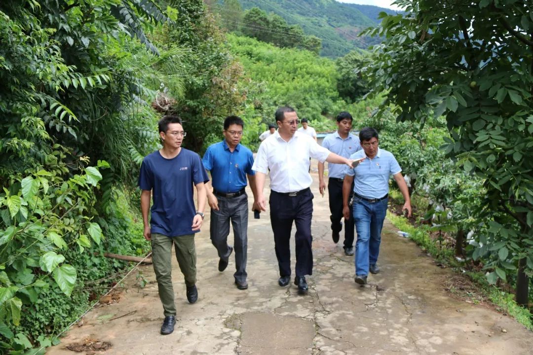 舉一反三壓實責任鹽邊縣認真落實市委書記賈瑞雲指示全力開展地質災害