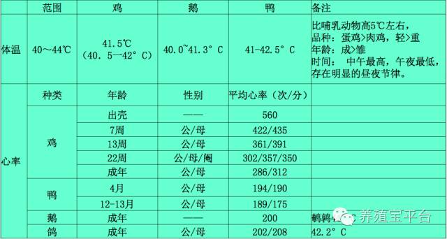 肉鸡生长指标对照表图片