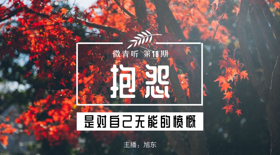 微青听抱怨是对自己无能的愤慨