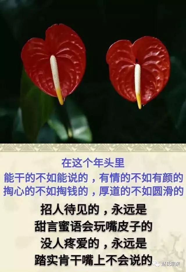 心做人要有骨氣自己靠自己因為活著,就得坦然;因為生命,就應無悔人生