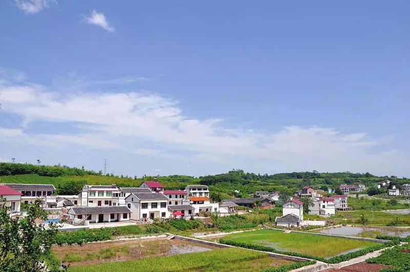 阳江河口镇图片