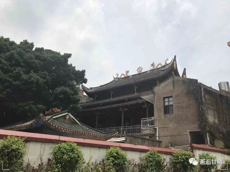 胪峰小学校长图片