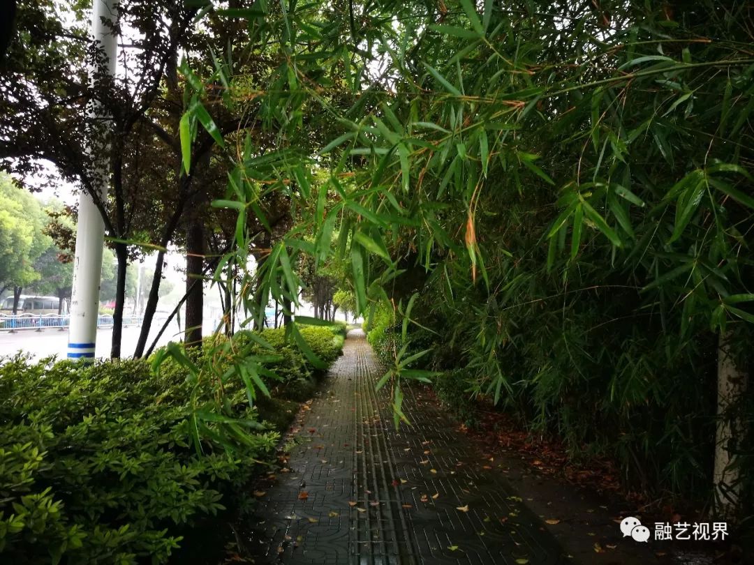 融空間散文伏天雨