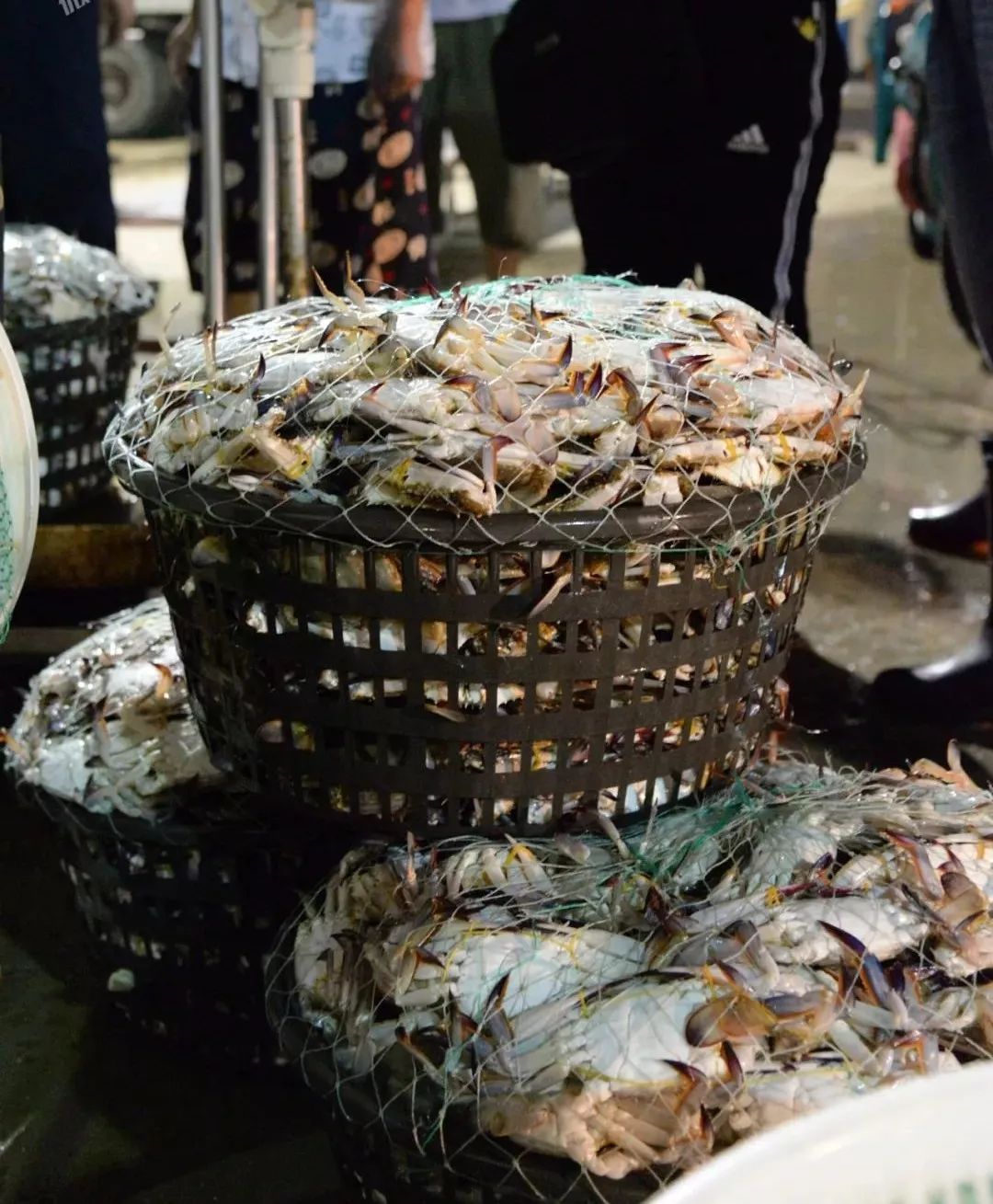 大量的螃蟹进入莱州海鲜市场吃螃蟹的季节开始了