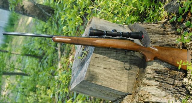 美国枪迷描述用雷明顿m700打猎有多美妙,200磅的猎物一枪就撂倒