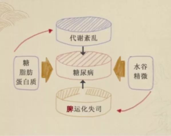 糖尿病與脾有什麼關係