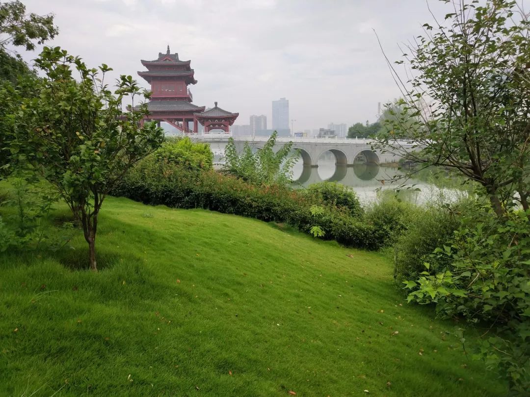 走进桂林市新建成的最大公园:临桂新区中央公园